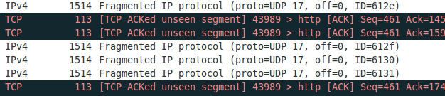 fragmented_ip_protocol2