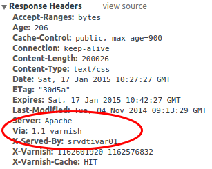 tt_varnish